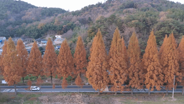 가을 나무가 있는 시골 마을