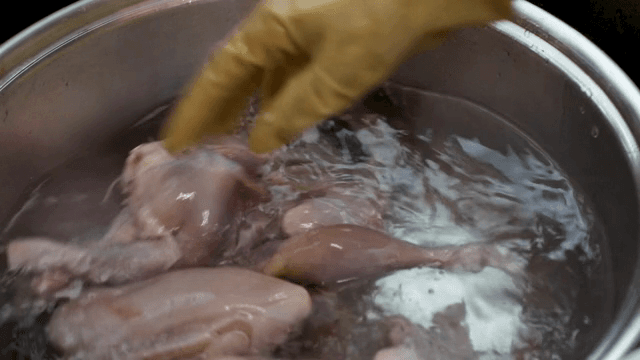 물이 든 냄비에 생닭을 넣는 장면