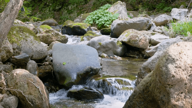 바위 위로 흐르는 고요한 시냇물