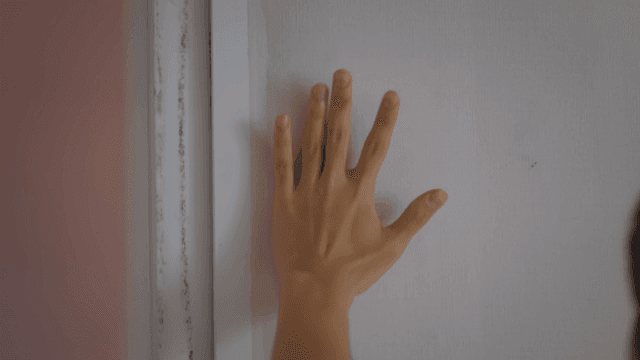 Hand that caught a mosquito indoors