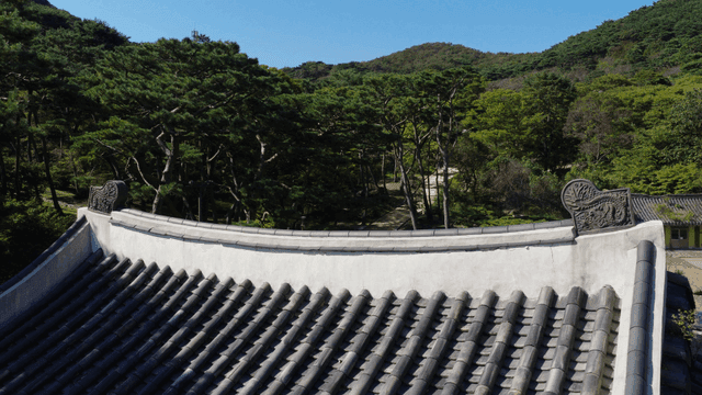 Traditional hanok roof with dense forest in mountains