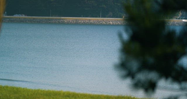 잔잔하게 흐르는 수면을 둘러싼 도로