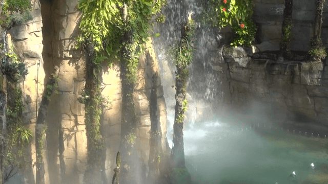 푸른 식물로 둘러싸인 고요한 폭포