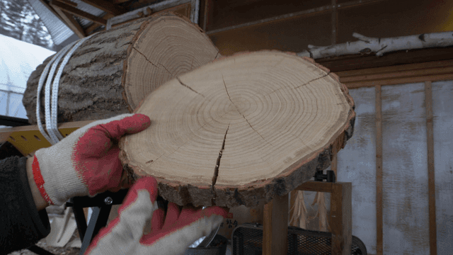 나무 통을 살펴보는 사람