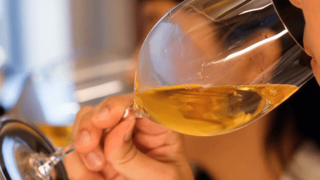 실내에서 와인을 즐기는 사람들