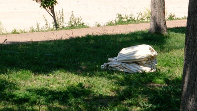 Person unfolding a striped fabric on a sunny day in the park.