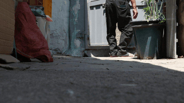 Elderly person opening the front door in a small yard