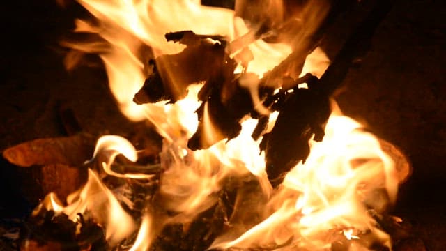 불에 구워지는 손질된 새들