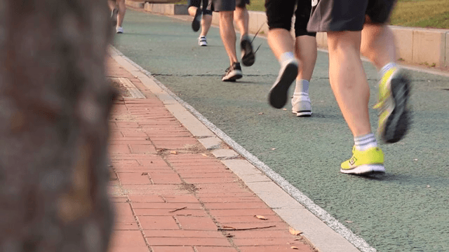 공원 트랙에서 조깅하는 사람들