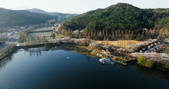 Peaceful scenery of a lake surrounded by cherry blossoms and mountains