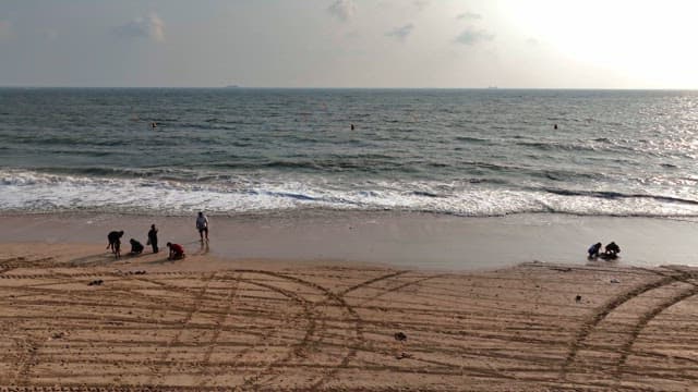 해변에서 화창한 하루를 즐기는 사람들