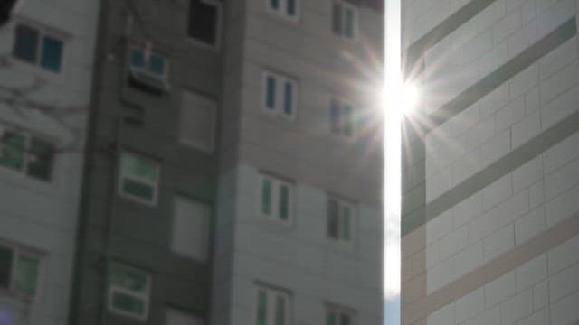 Sun Glimmer Between Urban Apartments