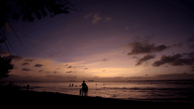 Serene beach at sunset with silhouettes