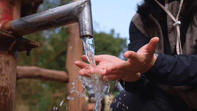 Hands washing under a flowing water tap
