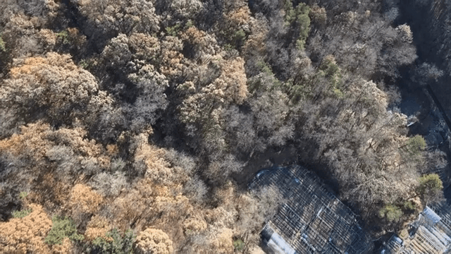 가을의 숲과 들판