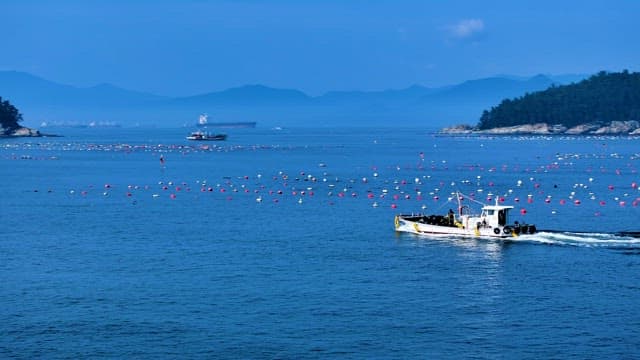 Fishing boat traversing coastal waters with buoys