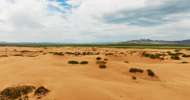 expansive desert landscape with distant mountains