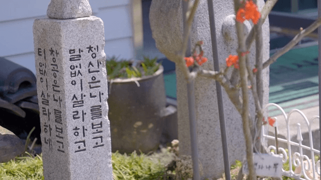 정원에 있는 풀과 비석