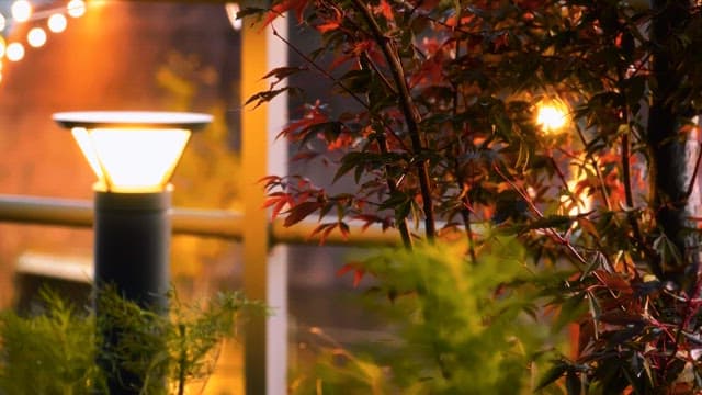 따뜻한 조명과 바람에 살랑거리는 식물들