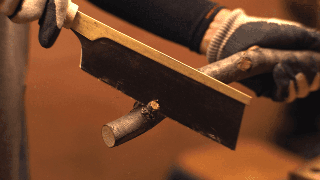 톱으로 나뭇가지를 자르는 사람