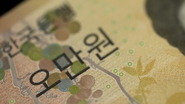 오만원 지폐의 위변조 방지를 위한 정교한 디자인 요소