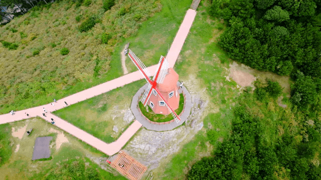 Windmill surrounded by lush greenery