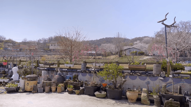 Peaceful rural garden with potted plants