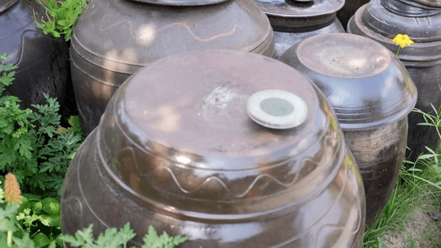 정원에 있는 전통 한국 장독대