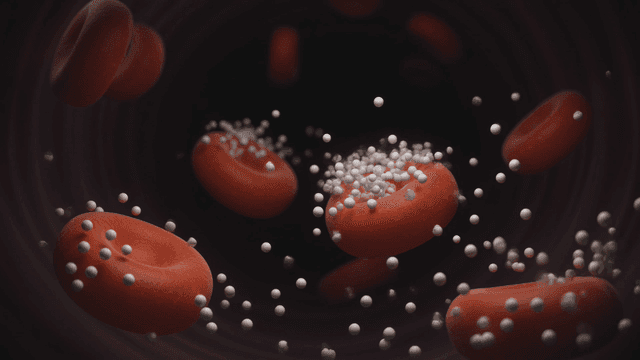 Red blood cells and white particles in motion