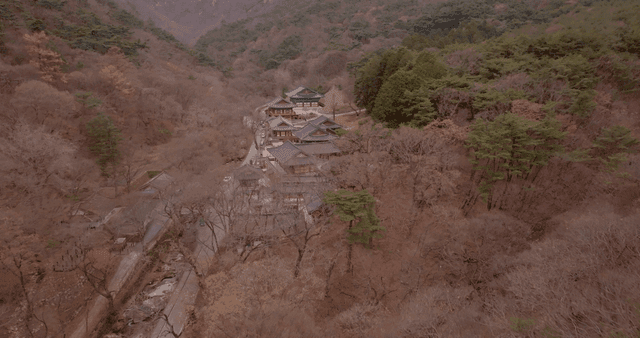 Traditional temple nestled in a forested valley