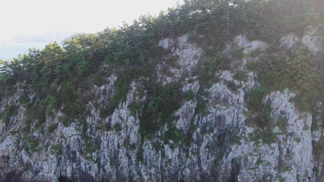 Rocky cliff with lush greenery by the sea