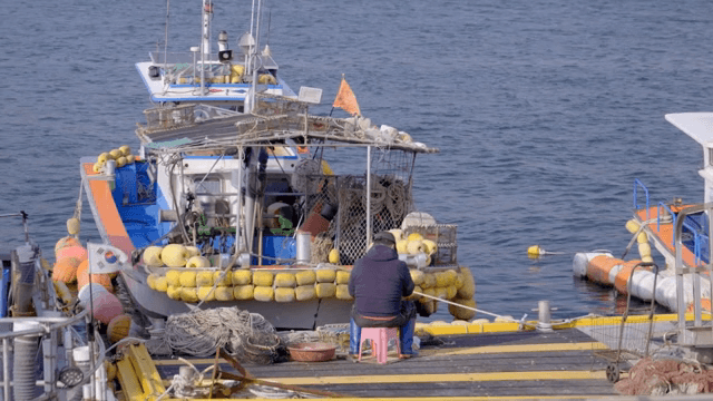 부두에서 배 위에서 일하는 어부