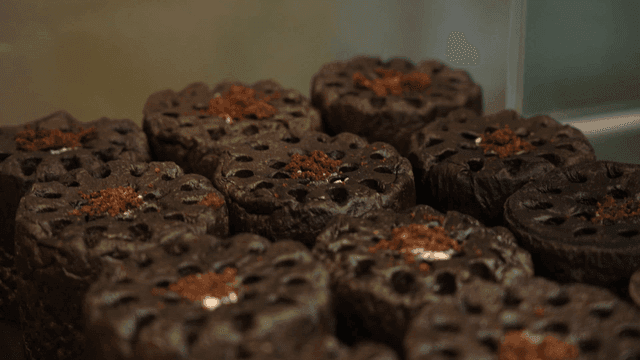 Bakery displaying briquette-shaped bread