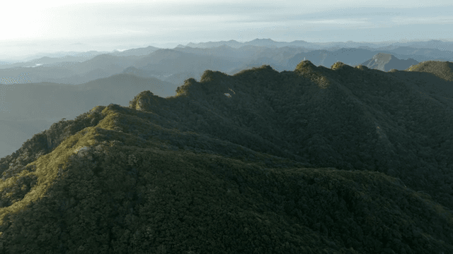 Green mountains under a clear sky