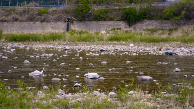 흩어진 바위가 있는 고요한 강