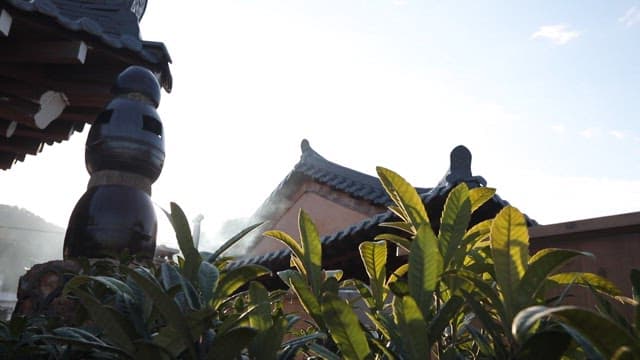 햇빛이 비치는 전통 한옥