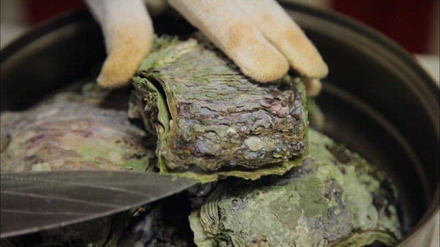 칼로 신선한 굴을 여는 장면