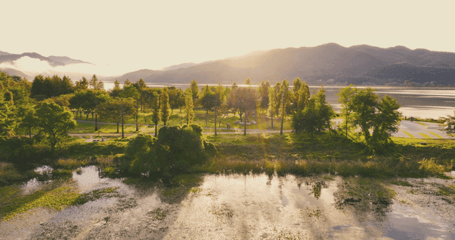 Serene lakeside park with morning sunlight