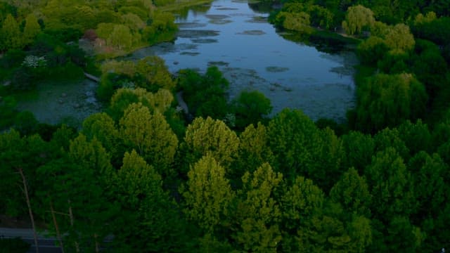 도시 속 호수와 울창한 나무숲이 있는 공원