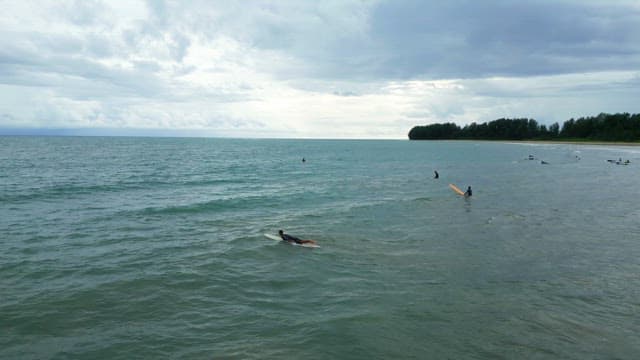 Surfers paddling in the ocean near the shore