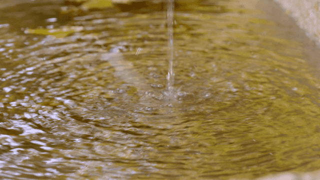 Rippling water in small tank