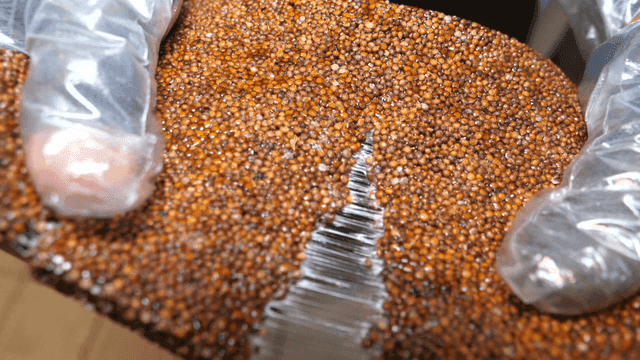 손으로 찢는 강정