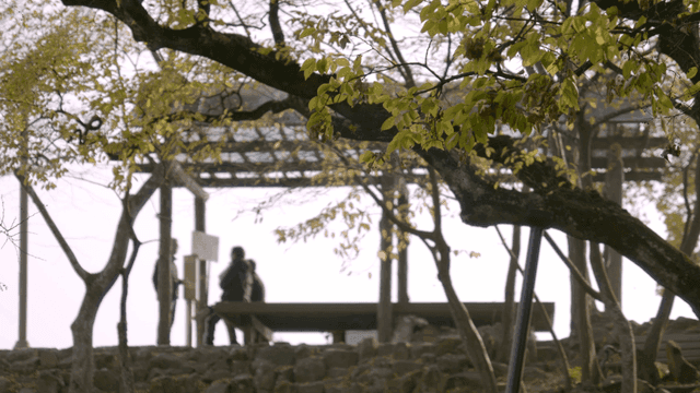 People gathered in pavilion under tree in forest