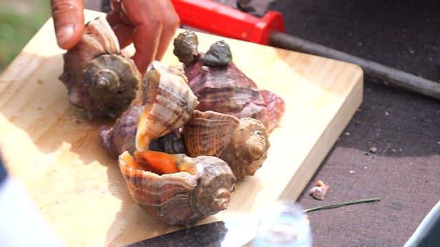 Preparing fresh cones on a wooden cutting board