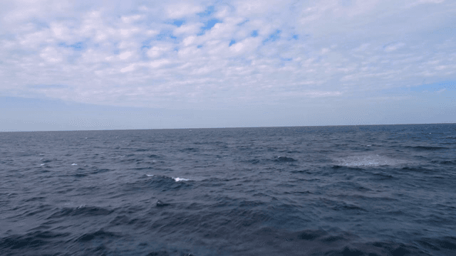 맑은 하늘 아래 광활한 바다