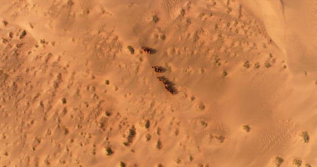 Camel caravan crossing a vast desert