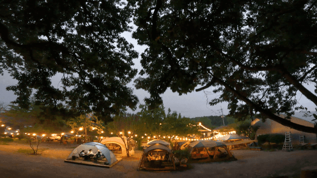 자연 속 저녁 캠핑장의 풍경