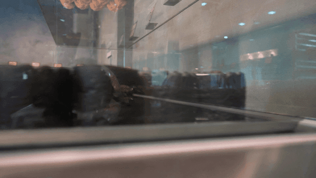 Desserts displayed in a glass showcase