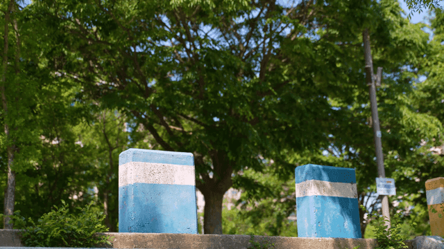 Blue concrete blocks in a green park