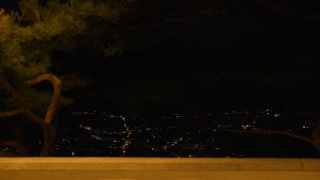 Contemplative Person Overlooking a Night Cityscape